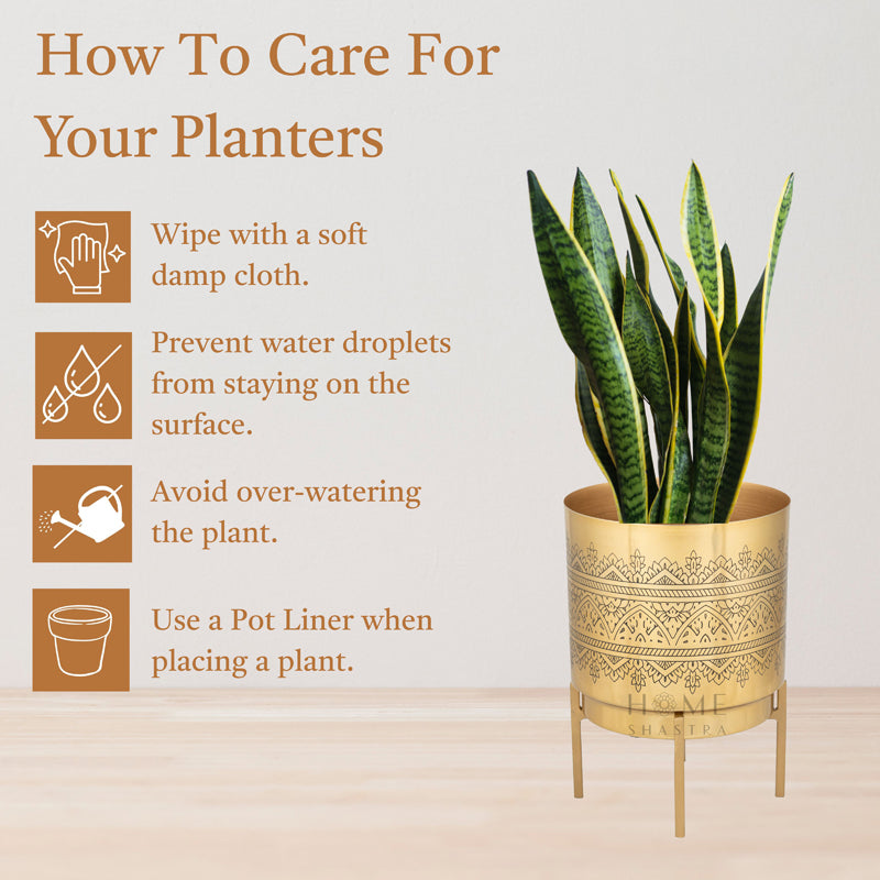 Vinyas Raaga Golden Planter with Stand media 5