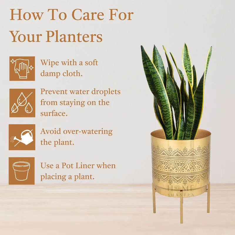 Vinyas Raaga Golden Planter with Stand media 5