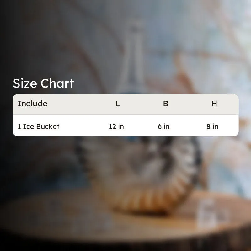 Shell Shine Ice Bucket media 6