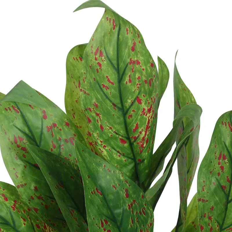 Faux Lush Dieffenbachia Plant With Black Plastic Pot - 2.3 Feet media 5