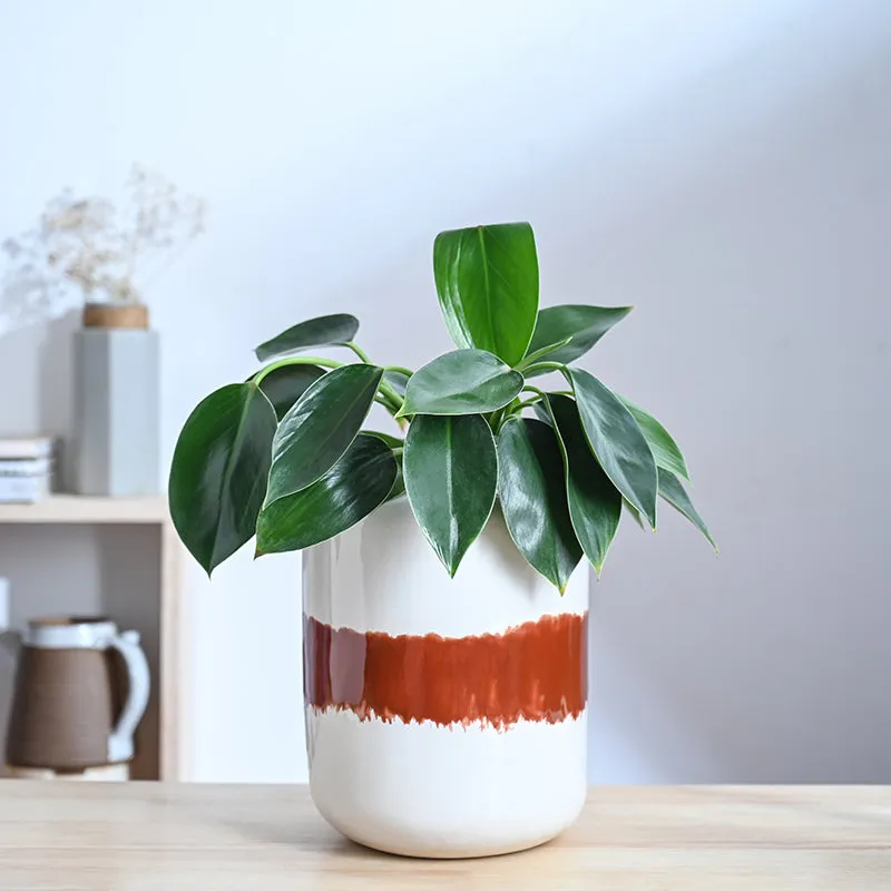Ugaoo Meadow Mate Ceramic Planter - Terracotta media 2