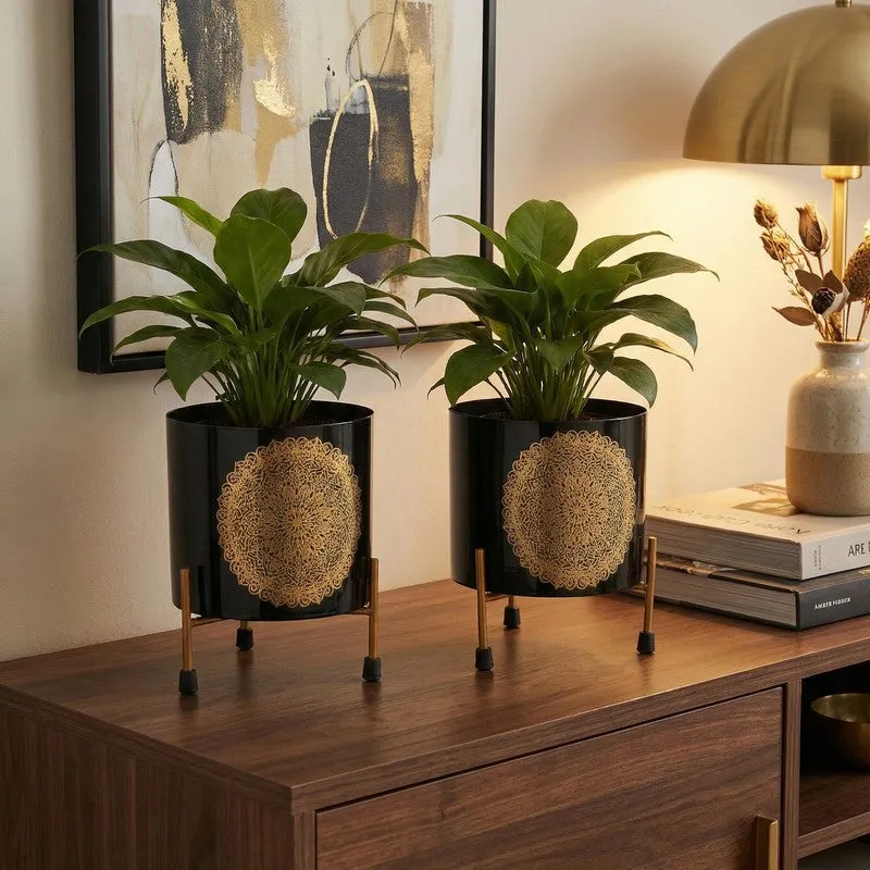 Root & Reside Metal Planters With Stand - Four Piece Set media 7