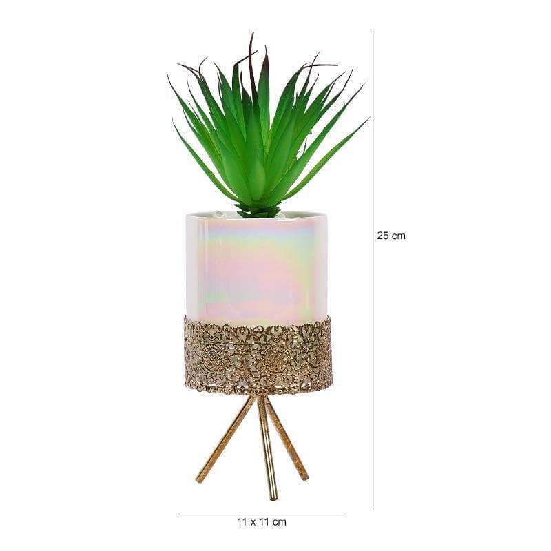 Faux Tequilana In Ceramic Pot With Tripod - 23 cms media 5
