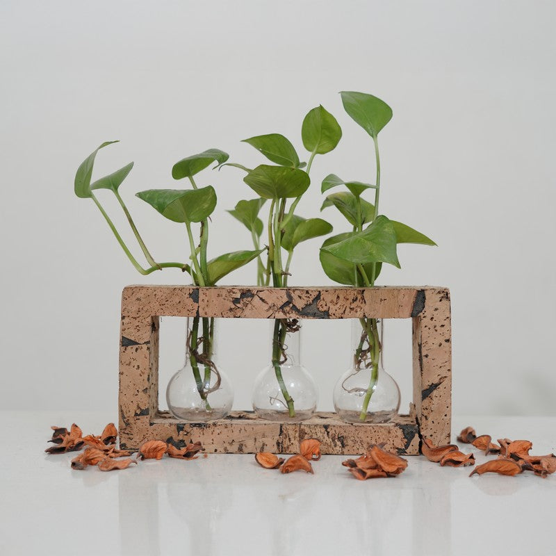 Serene Hydro Bloom Planter With Frame - Four Piece Set media 3