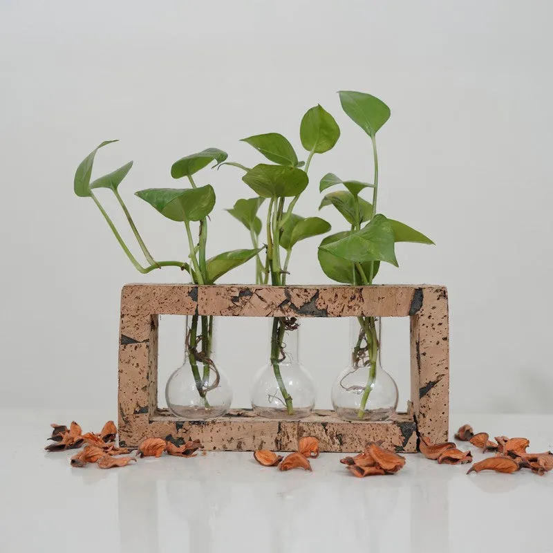 Serene Hydro Bloom Planter With Frame - Four Piece Set media 3