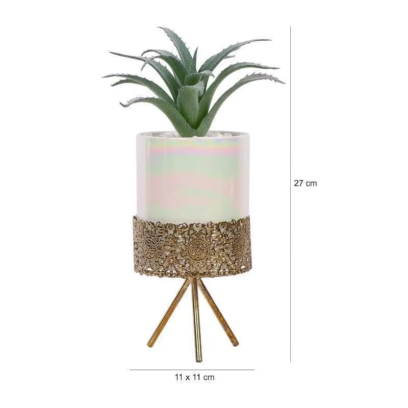 Faux Agave In Ceramic Pot With Tripod - 25 cms media 5