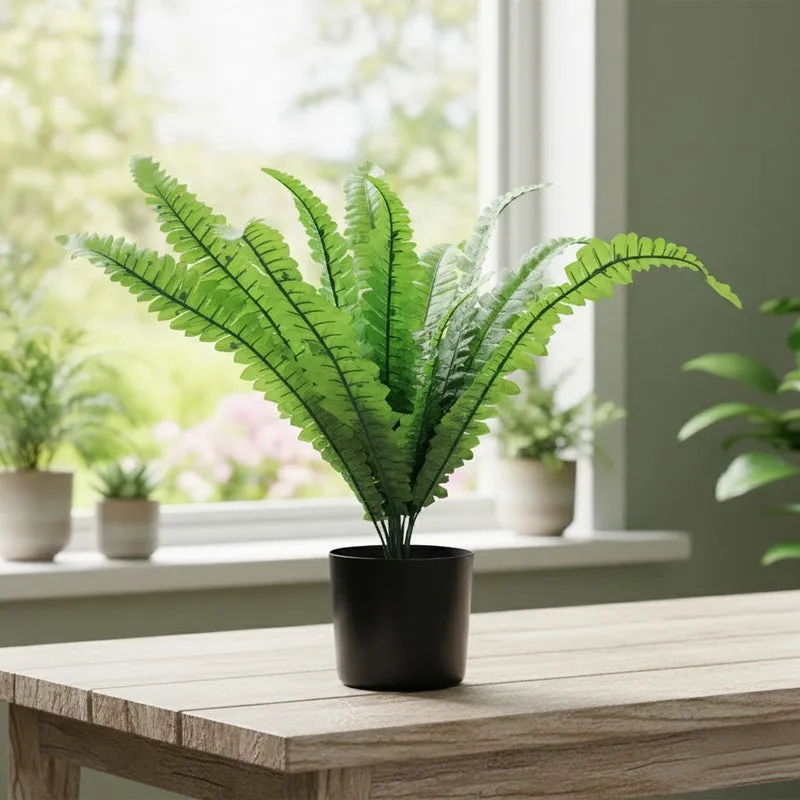 Fernex Artificial Plant With Plastic Pot - 1.5 Feet media 6