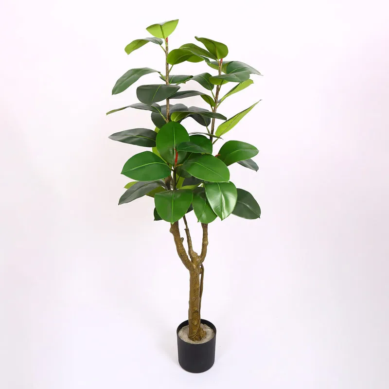 Verdiq Artificial Rubber Plant With Black Plastic Pot - 5 Feet media 6