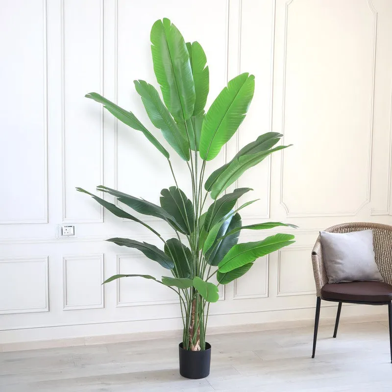 Pure Greens Artificial Plant With Black Plastic Pot - 6.8 ft media 4