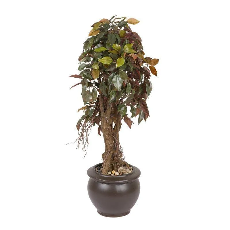 Faux Twisted Ficus Bonsai (2.03 ft) - Green & Red media 4