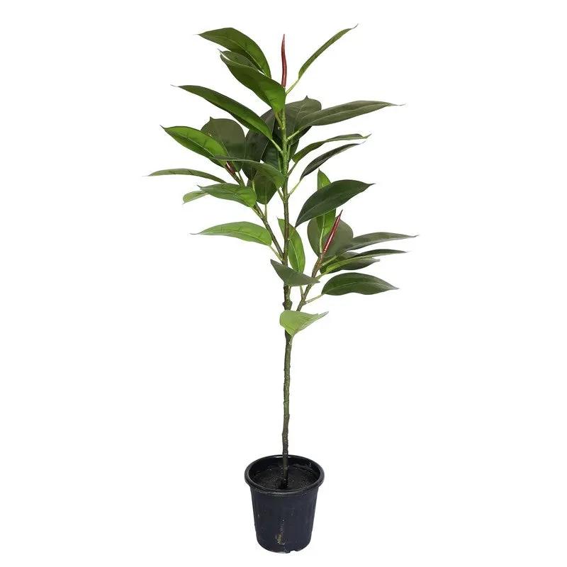 Leafessa Artificial Fiddle Fig Plant With Black Plastic Pot - 3.1 Feet media 4