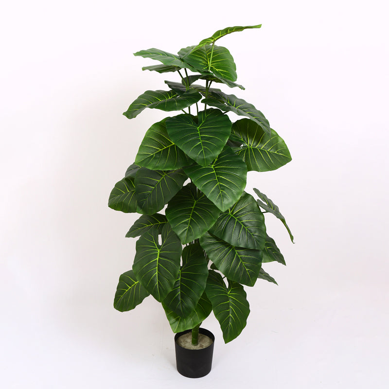 Verdiq Artificial Alocasia With Black Plastic Pot - 4 Feet media 7