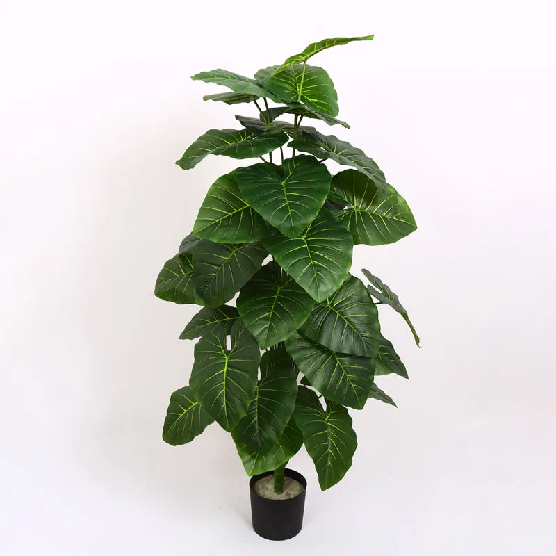Verdiq Artificial Alocasia With Black Plastic Pot - 4 Feet media 7