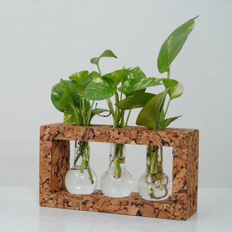 Serene Hydro Bloom Planter With Frame - Four Piece Set media 5