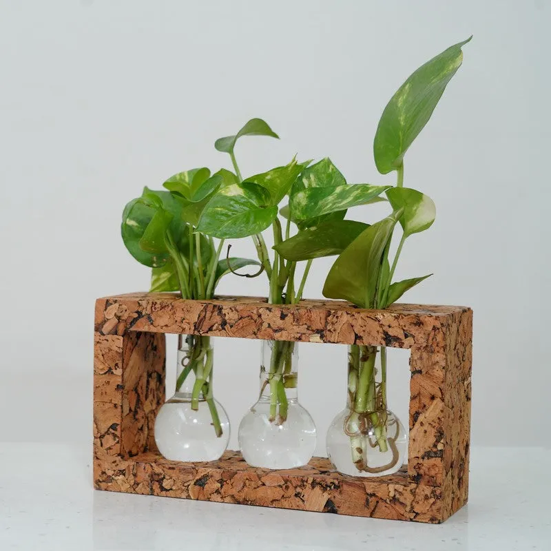 Serene Hydro Bloom Planter With Frame - Four Piece Set media 5