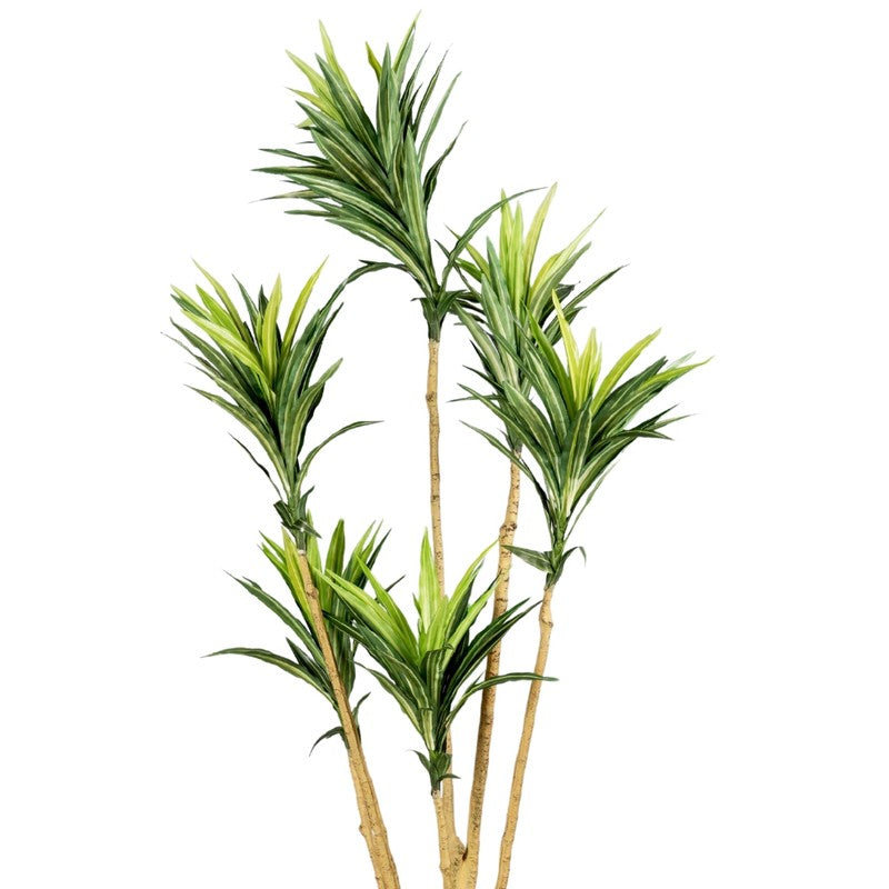 Artificial Yellow Small Leaf Dracaena Plant Without Pot - 3.4 Feet media 5