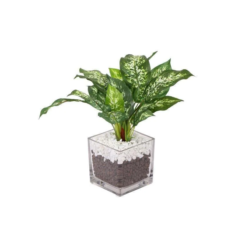 Faux Dieffenbachia Bonsai In Glass Pot - 27 cms media 3