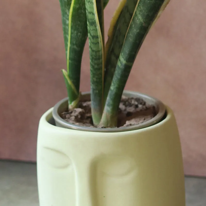 Chehra Ceramic Planter media 5