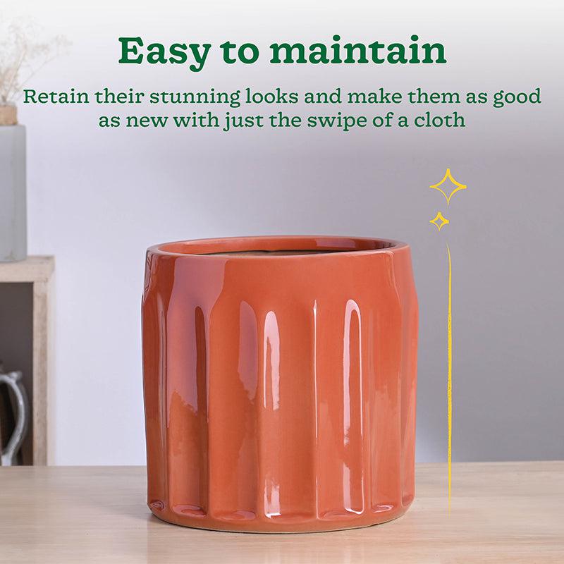 Ugaoo Straits Ceramic Planter - Pink media 4