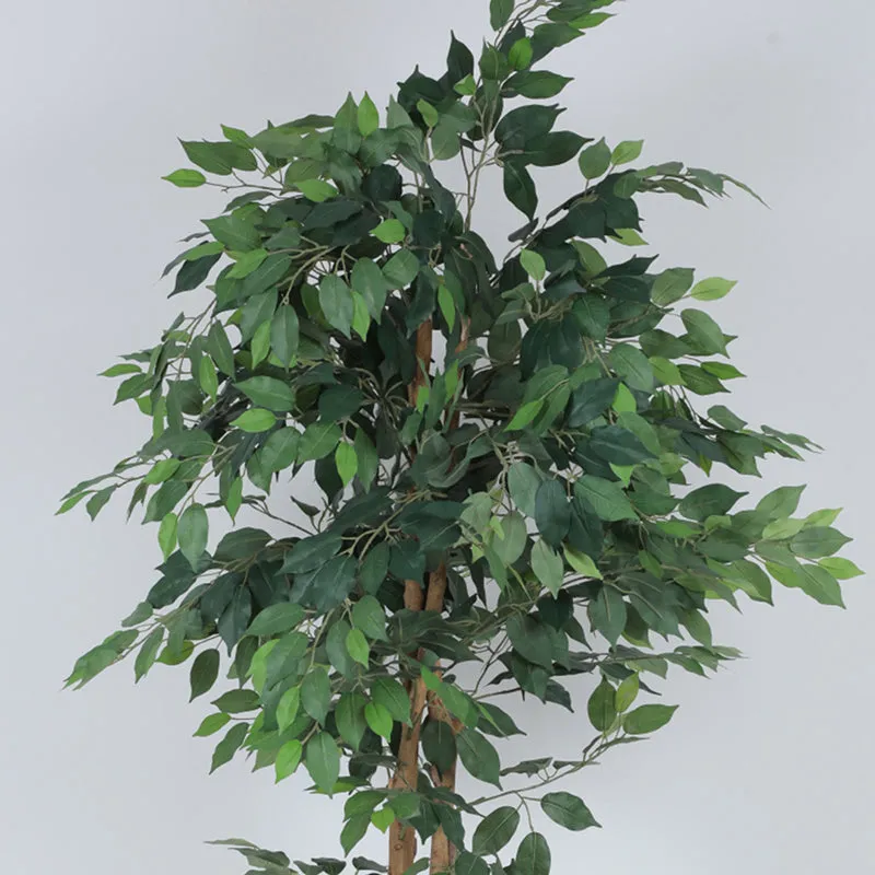 Jadelle Artificial Ficus With Black Plastic Pot - 6 Feet media 5