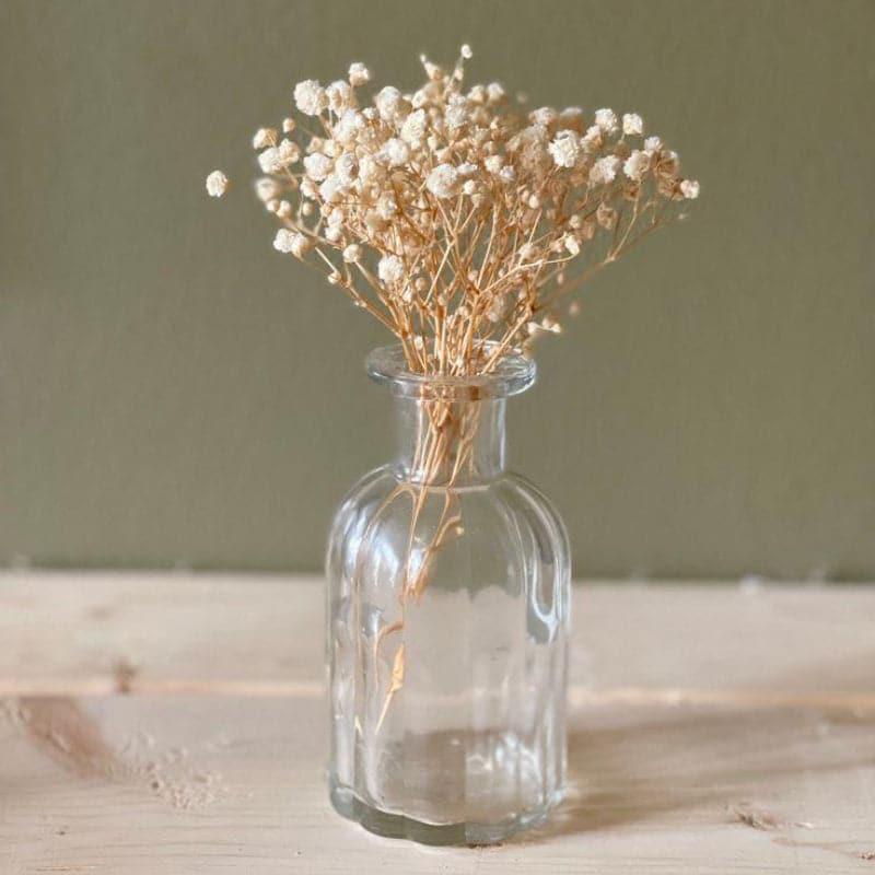Naturally Dried Gypsophila Baby Breath Flowers (White) - Set Of Five media 3