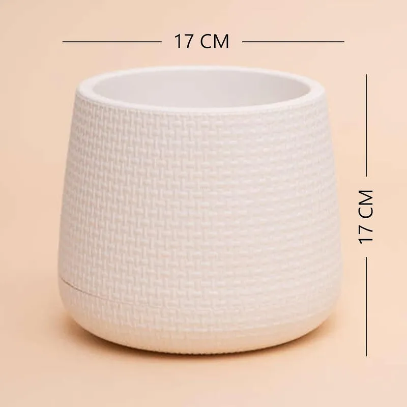 Pure Stem Pot - White media 7