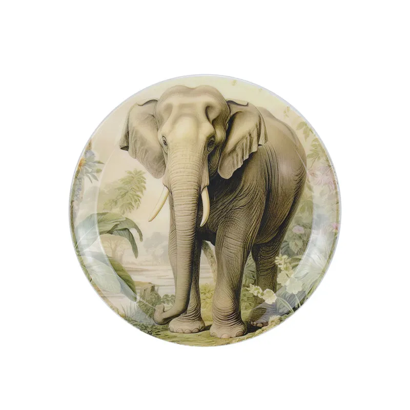 Wild Tusker Wall Plate media 3