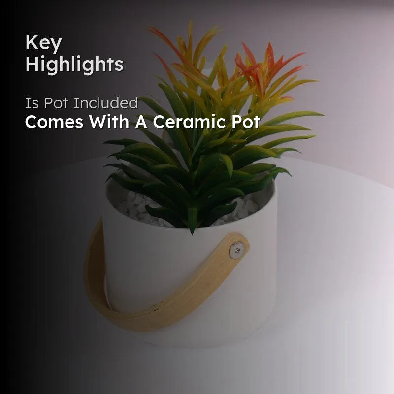 Faux Succulent In Bucket Pot (16.5 cms) - White media 2