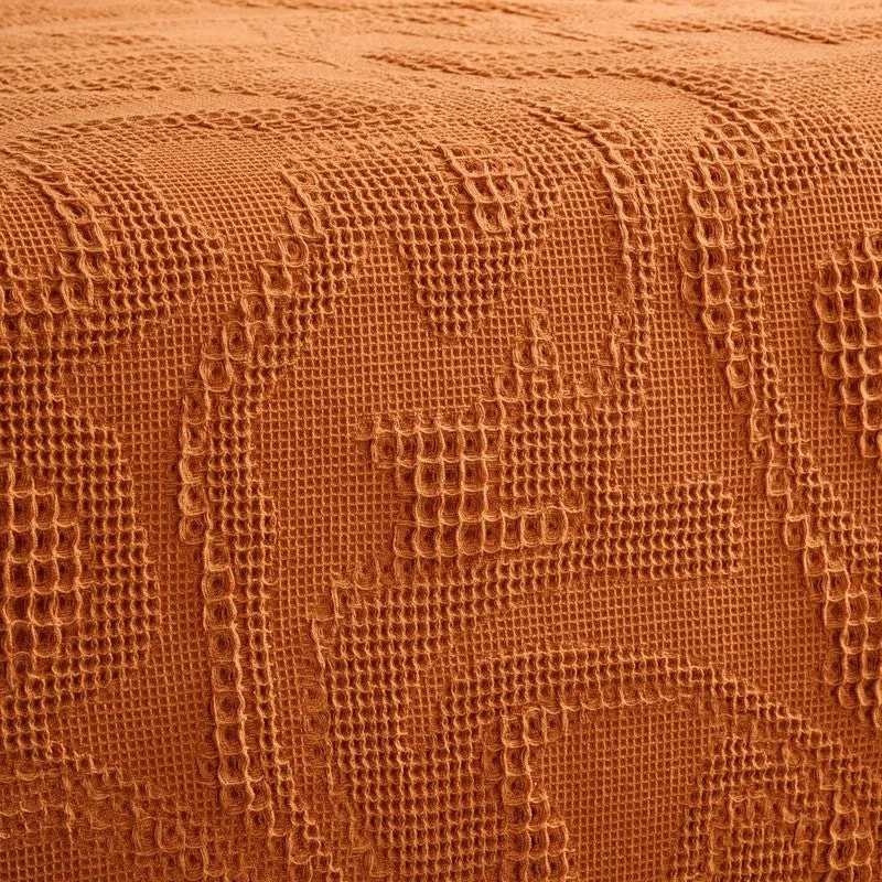 Solid Calm Cotton Bedcover (Orange) (350 Gsm) - Two Piece Set media 5