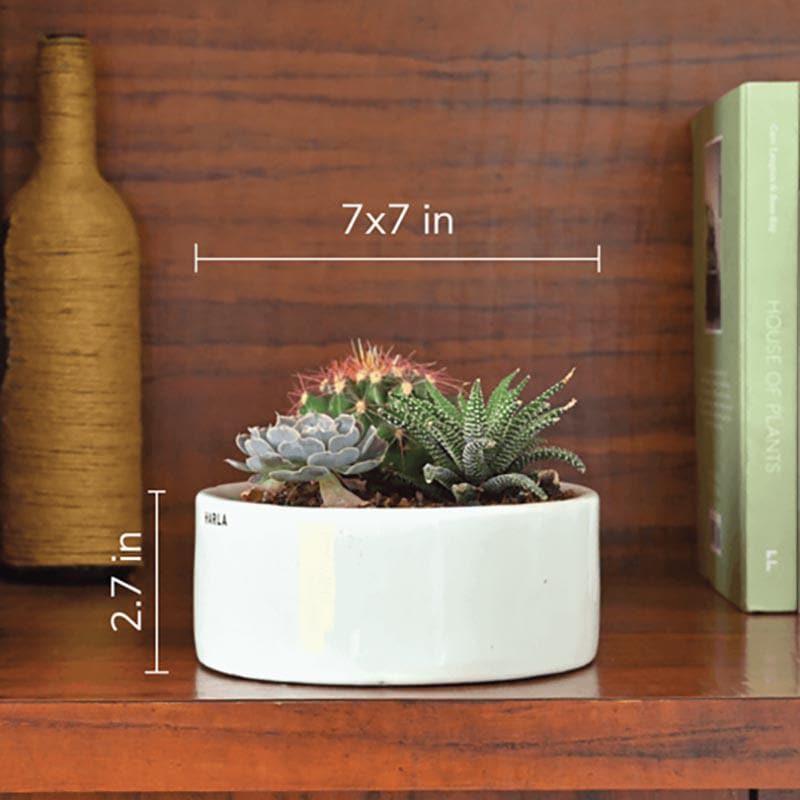 Ugaoo Lilac Stories 6022 White Ceramic Pot media 3