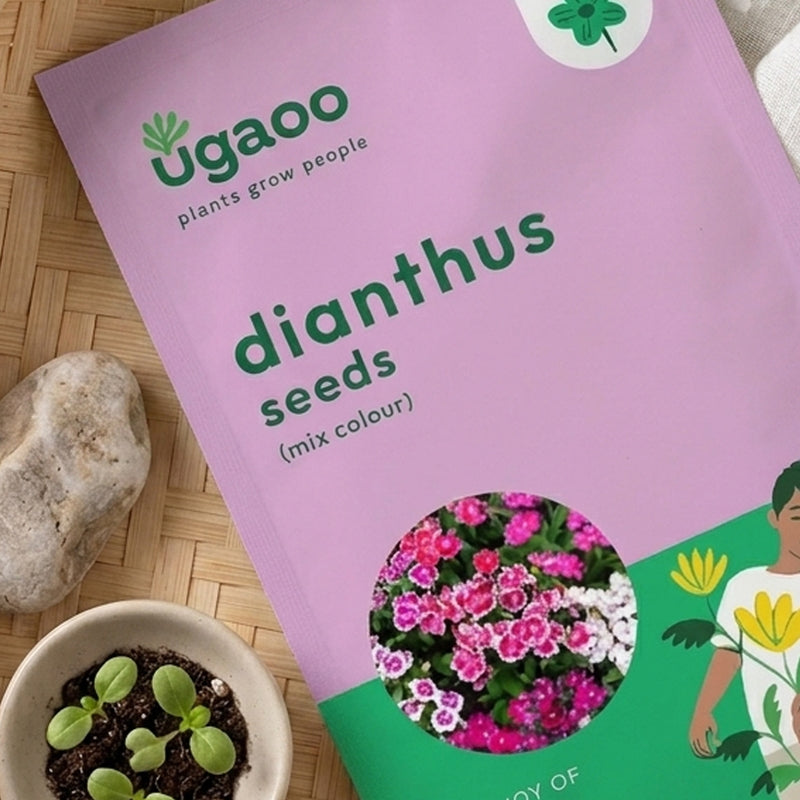 Ugaoo Dianthus Mix Seeds media 3