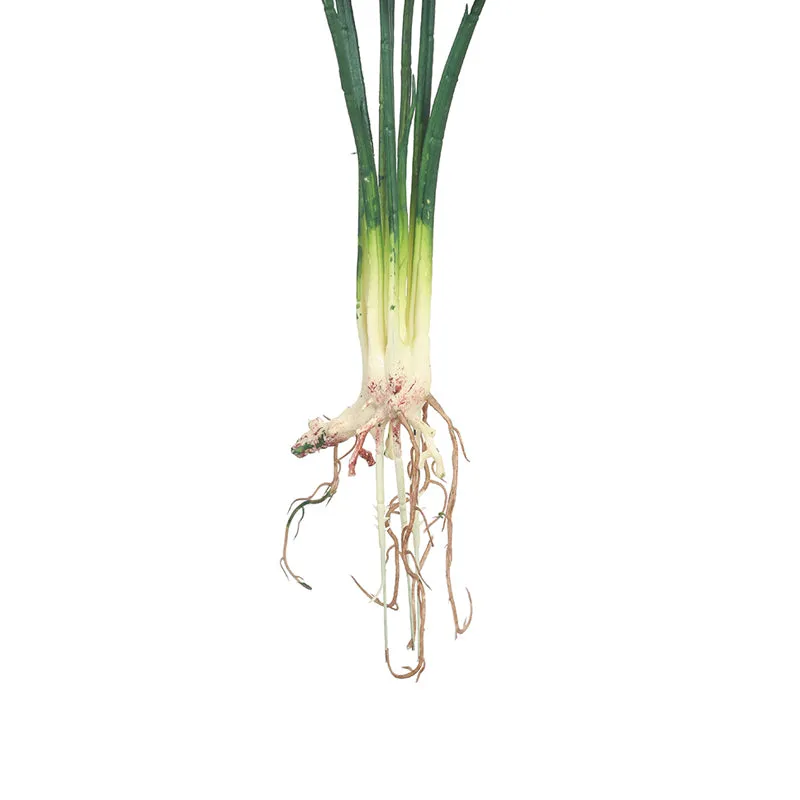 Botanic Whisper Artificial Plant With Black Plastic Pot media 5