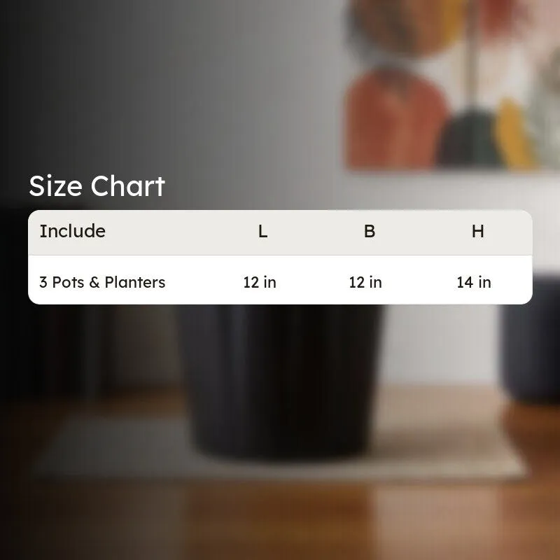 Black plastic plant pot displayed in a softly blurred room setting