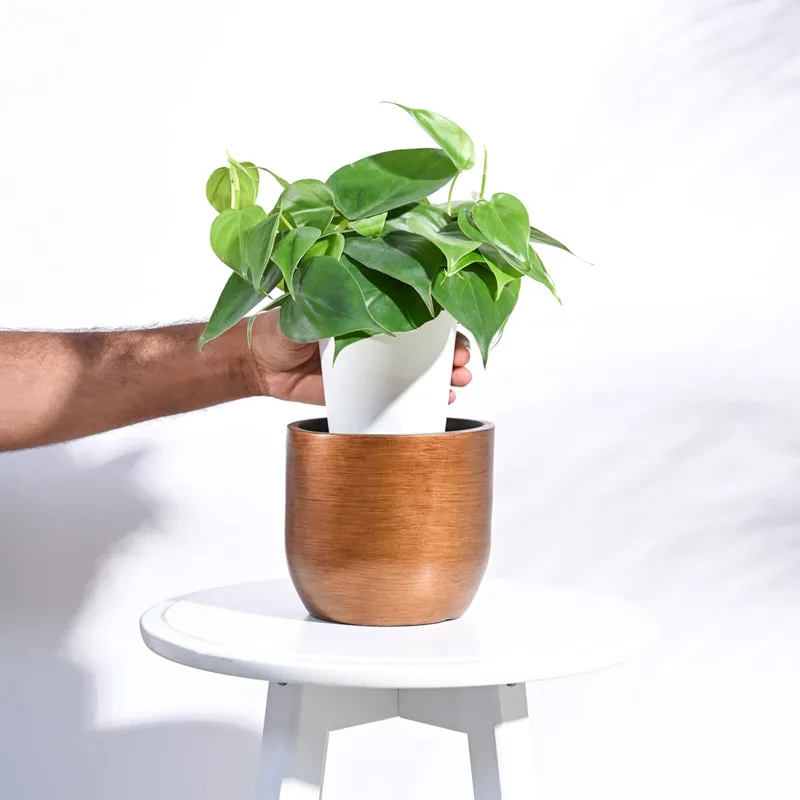 UGAOO Planter Ball Retro- Gold media 5