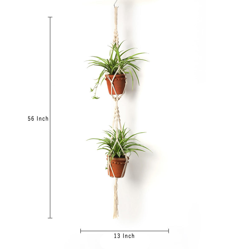 Boeheme Botanica Two Tier Macrame Hanging Planter media 5