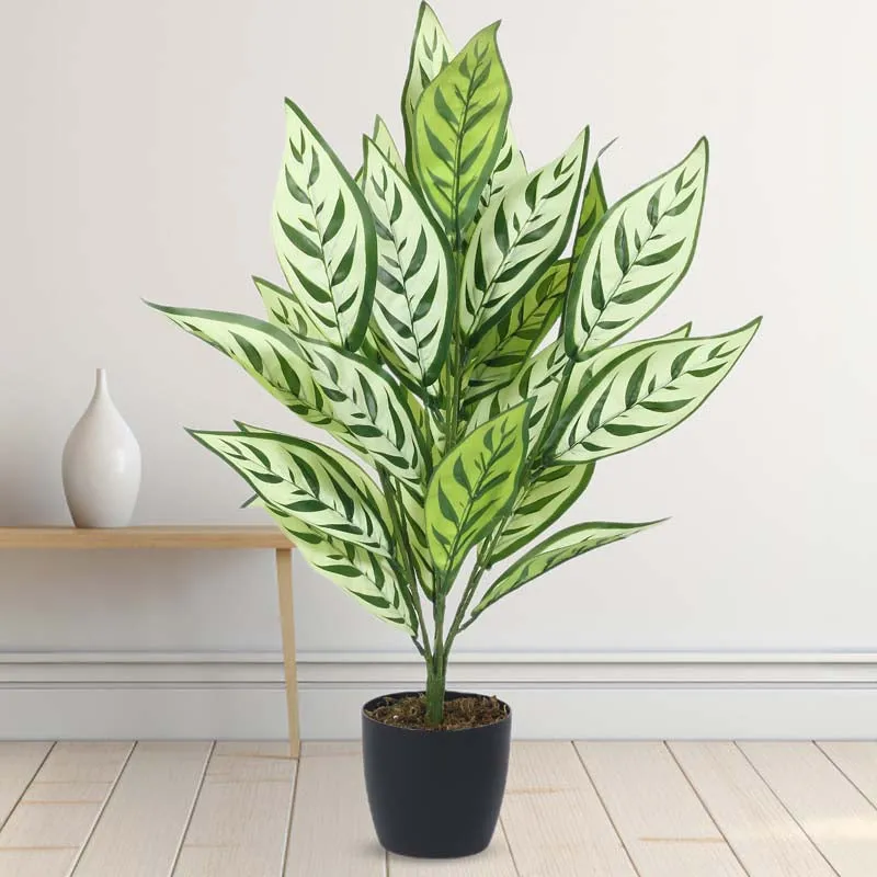 Faux Lush White Dieffenbachia Plant With Black Plastic Pot - 2.3 Feet media 3