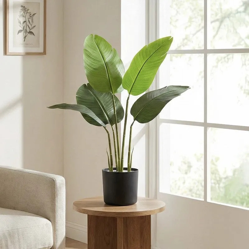 Tropiva Banana Leaf Palm Plant With Black Plastic Pot - 2.6 ft media 4