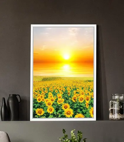 Cotton Canvas