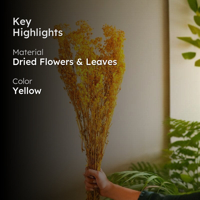 Naturally Dried Baby Breath Gypsophila Stems (Yellow) - Set Of Five media 2
