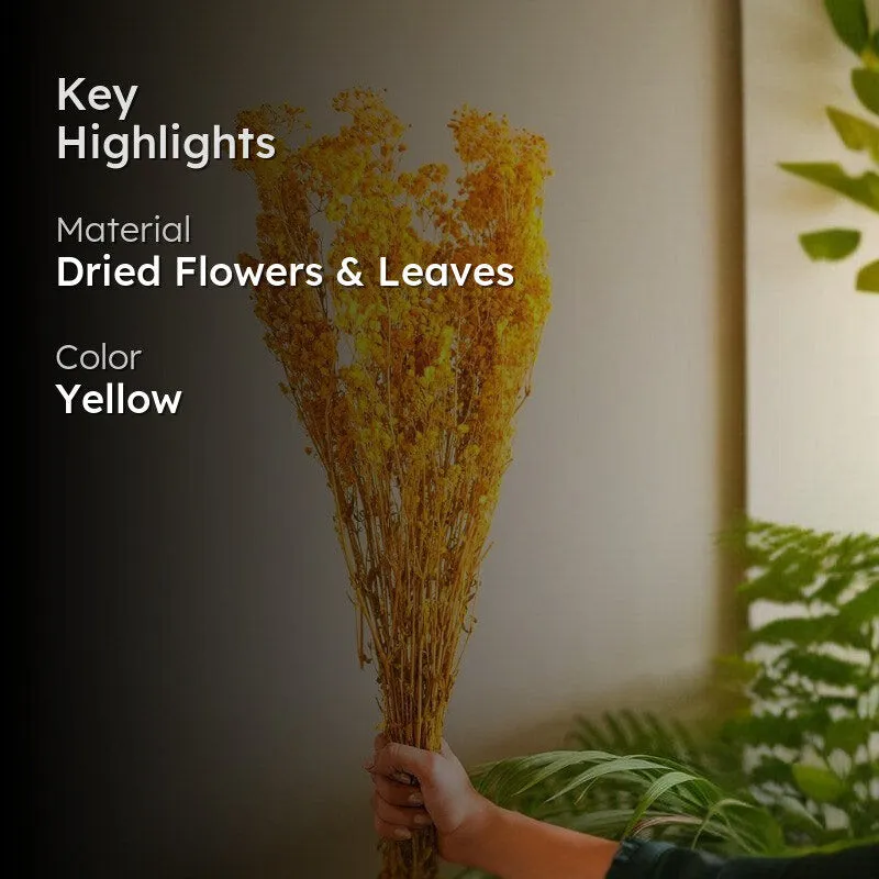 Naturally Dried Baby Breath Gypsophila Stems (Yellow) - Set Of Five media 2