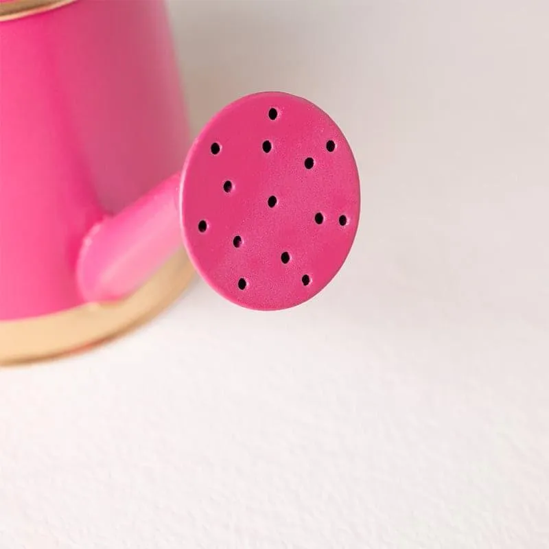 Peso Water Can - Pink media 5
