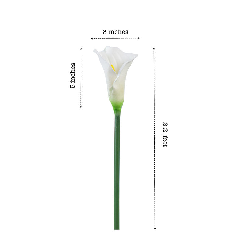 Artificial Realistic Calla Lily Flower Stick (White) - Set Of Five media 7