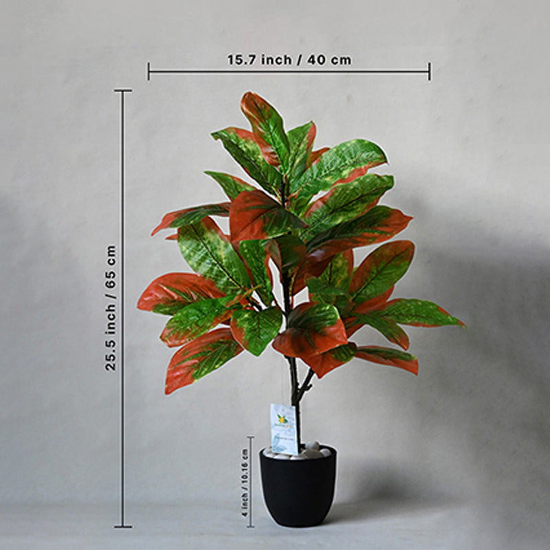 Faux Everlasting Croton Plant With Black Plastic Pot - 74 cm (2.4 ft) media 5