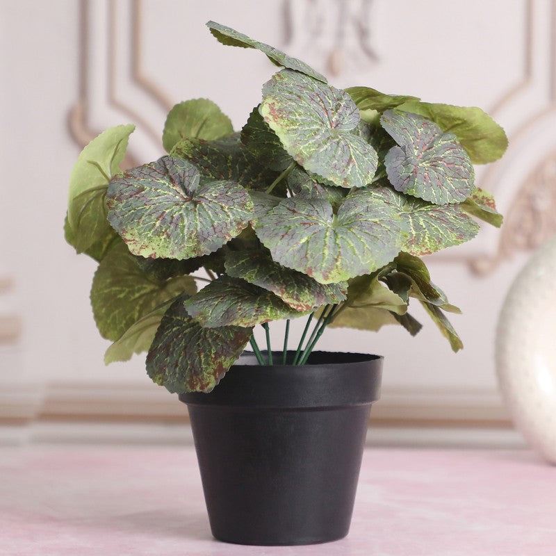 Artificial Green Begonia Plant With Black Plastic Pot