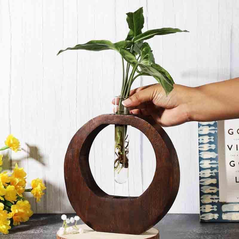 Concentric Circles Testube Planter media 3