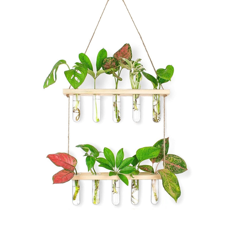 Bade Hanging Test Tube Planter media 5