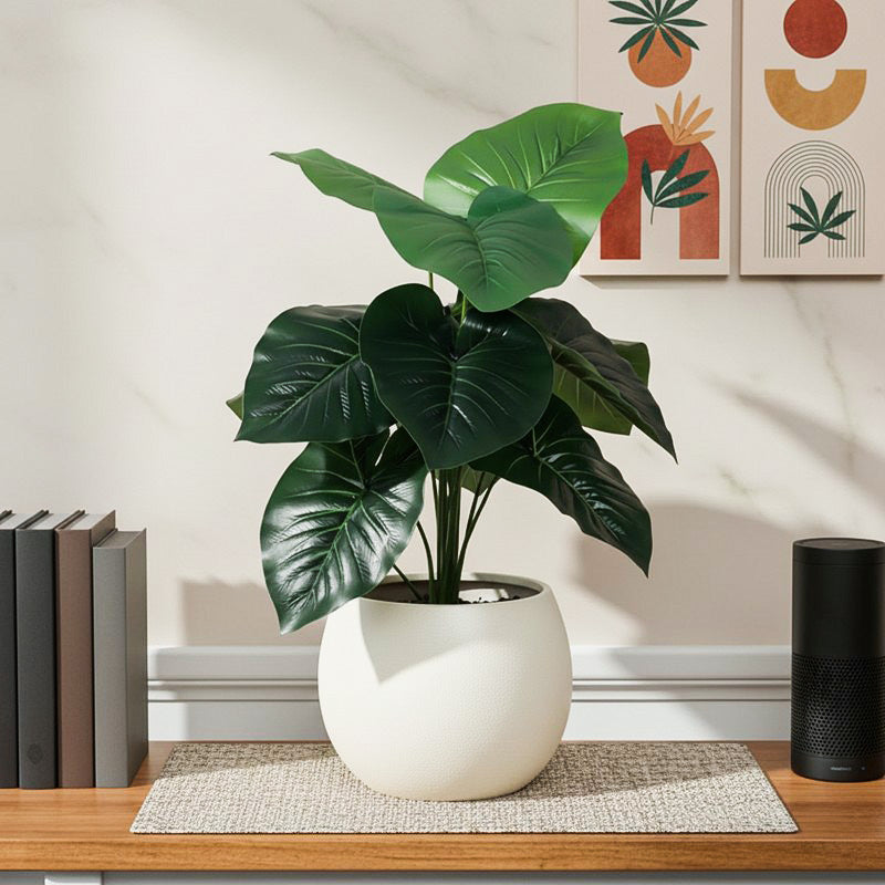Faux Rubber Silk Plant With Black Plastic Pot - 55 cms