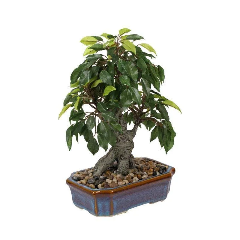 Faux Ficus Bonsai In Tray Pot - 37 cms media 3