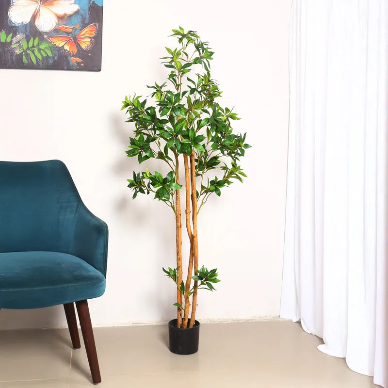 Verdiq Artificial Ruscus With Black Plastic Pot - 5 Feet media 4