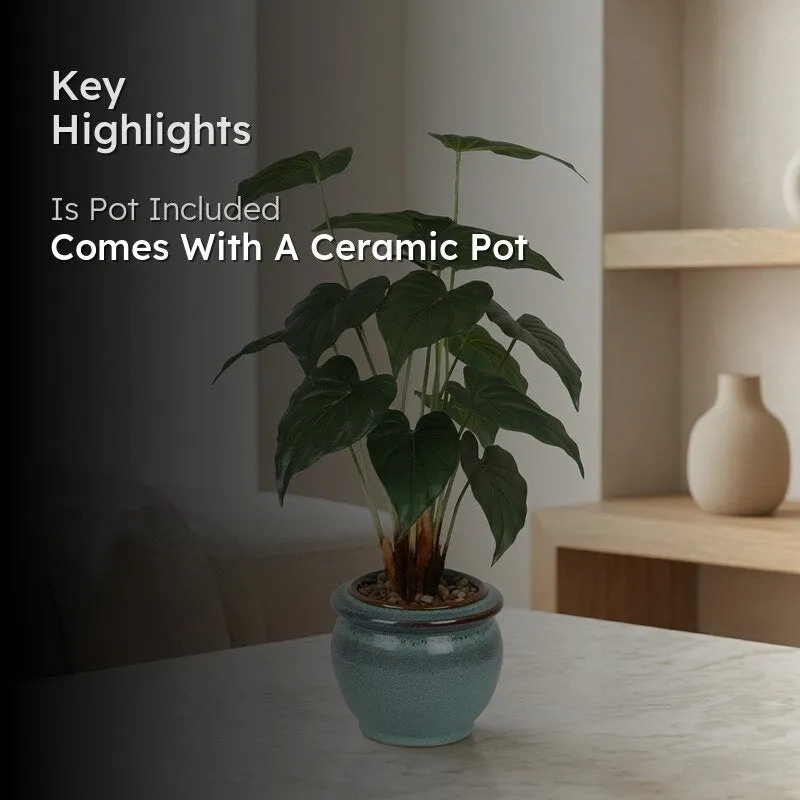 Faux Alocasia Bonsai In Ceramic Pot (59 cms) - Turquoise media 2